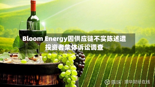 Bloom Energy因供应链不实陈述遭投资者集体诉讼调查-第3张图片