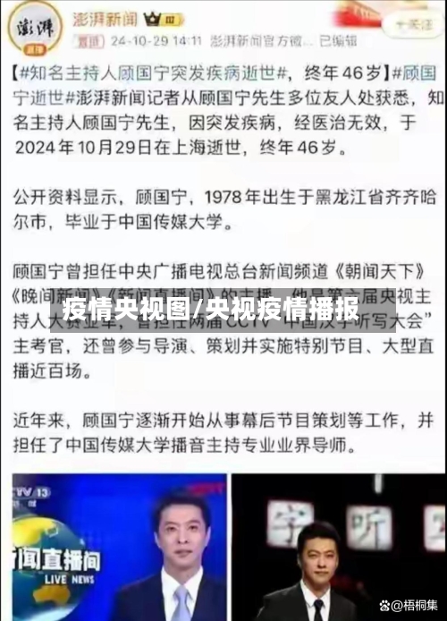 疫情央视图/央视疫情播报