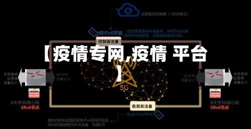 【疫情专网,疫情 平台】-第2张图片