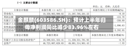 金麒麟(603586.SH)：预计上半年归母净利润同比减少83.96%左右
