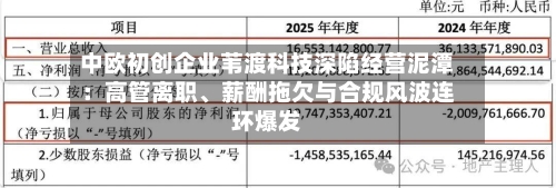 中欧初创企业苇渡科技深陷经营泥潭：高管离职、薪酬拖欠与合规风波连环爆发-第3张图片