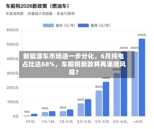 新能源车市场进一步分化，6月纯电占比达68%	，车船税新政将再添顺风局？-第2张图片