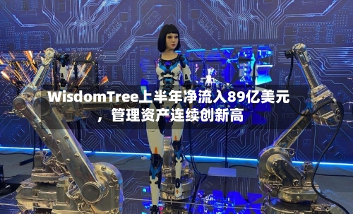WisdomTree上半年净流入89亿美元，管理资产连续创新高-第2张图片