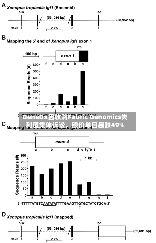 GeneDx因收购Fabric Genomics失利遭集体诉讼	，股价单日暴跌49%-第2张图片