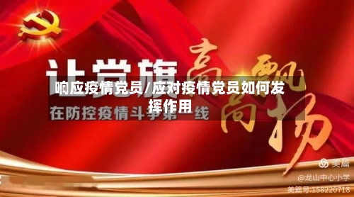 响应疫情党员/应对疫情党员如何发挥作用-第3张图片