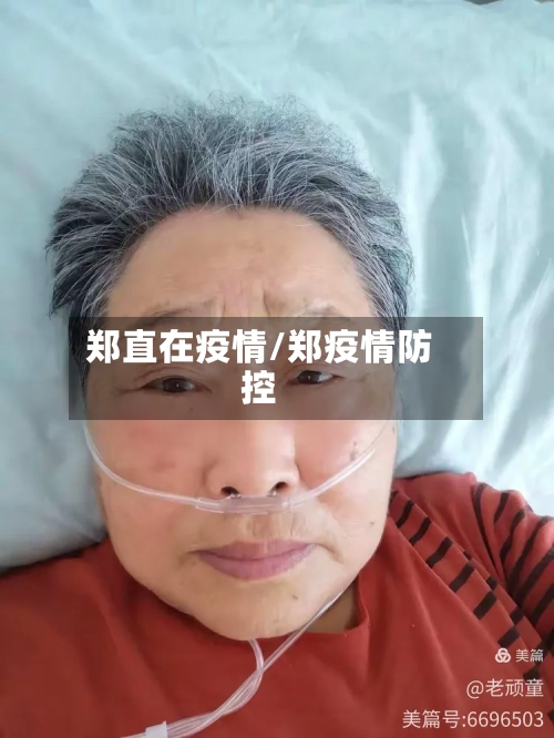 郑直在疫情/郑疫情防控