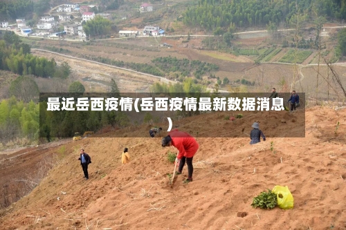 最近岳西疫情(岳西疫情最新数据消息)