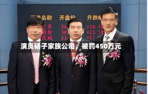 演员杨子家族公司，被罚450万元
