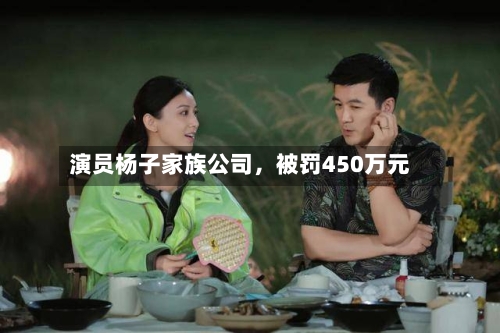 演员杨子家族公司	，被罚450万元-第3张图片
