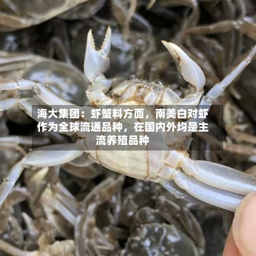 海大集团：虾蟹料方面，南美白对虾作为全球流通品种，在国内外均是主流养殖品种