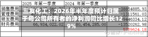 三友化工：2026年半年度预计归属于母公司所有者的净利润同比增长129%