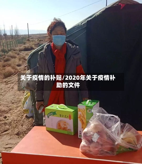 关于疫情的补贴/2020年关于疫情补助的文件