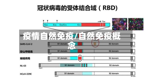 疫情自然免疫/自然免疫概念