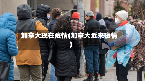 加拿大现在疫情(加拿大近来疫情)-第2张图片