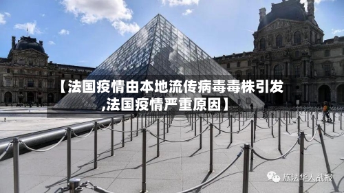 【法国疫情由本地流传病毒毒株引发,法国疫情严重原因】-第3张图片