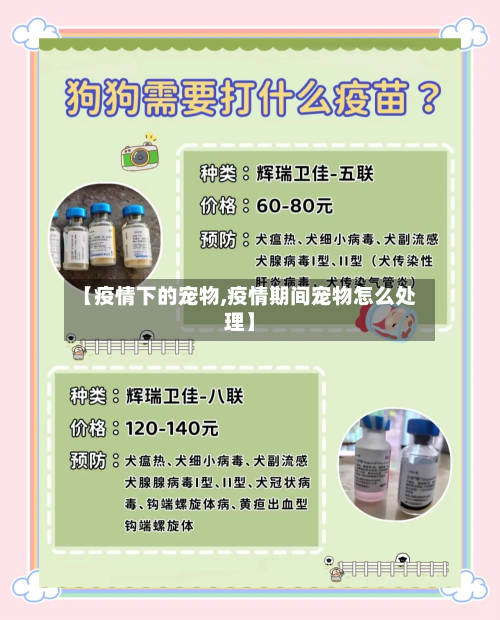 【疫情下的宠物,疫情期间宠物怎么处理】