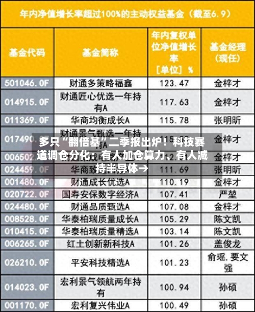 多只“翻倍基”二季报出炉！科技赛道调仓分化：有人加仓算力、有人减持半导体→-第2张图片