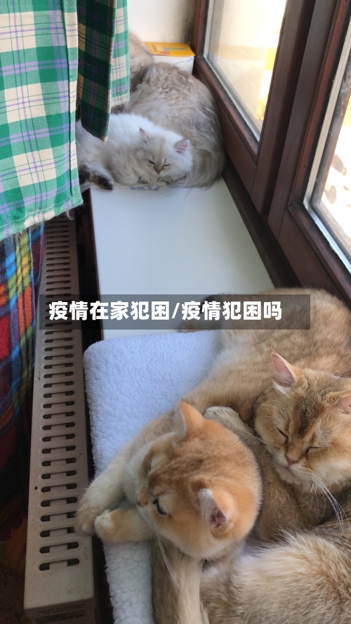 疫情在家犯困/疫情犯困吗