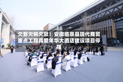 欠薪欠税欠款!安徽临泉县现代商贸重点工程真爱年华大酒店建设项目停摆-第3张图片