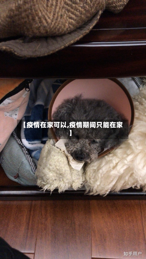 【疫情在家可以,疫情期间只能在家】