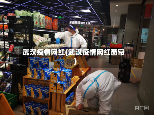 武汉疫情网红(武汉疫情网红窗帘)-第2张图片