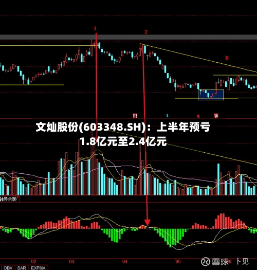 文灿股份(603348.SH):上半年预亏1.8亿元至2.4亿元-第2张图片