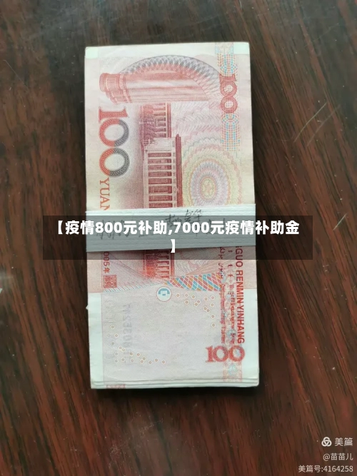【疫情800元补助,7000元疫情补助金】