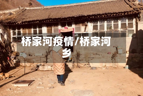 桥家河疫情/桥家河乡