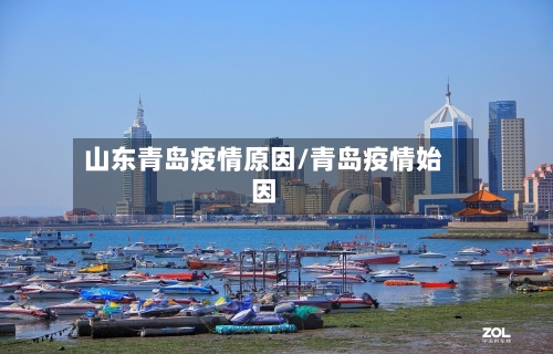 山东青岛疫情原因/青岛疫情始因-第3张图片