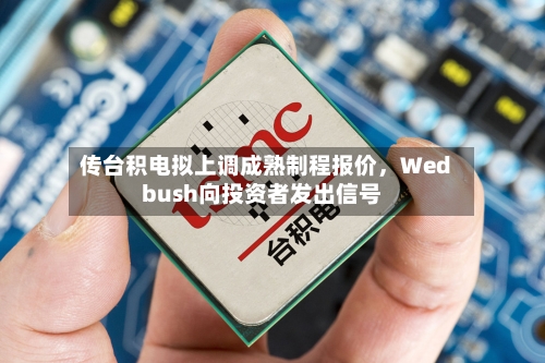 传台积电拟上调成熟制程报价，Wedbush向投资者发出信号