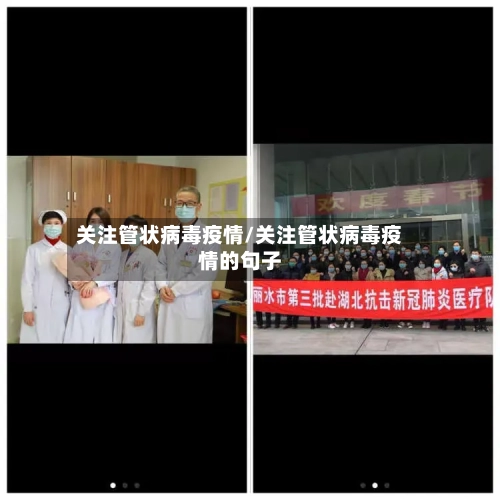关注管状病毒疫情/关注管状病毒疫情的句子