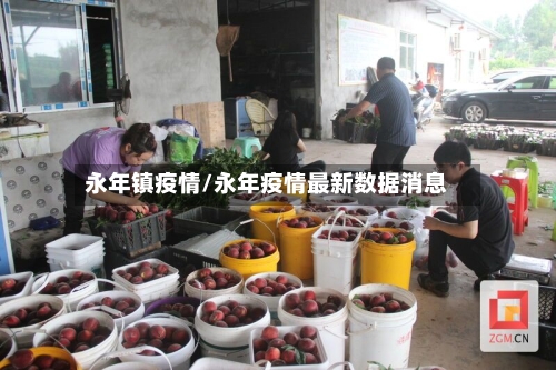 永年镇疫情/永年疫情最新数据消息-第2张图片