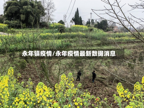 永年镇疫情/永年疫情最新数据消息-第3张图片