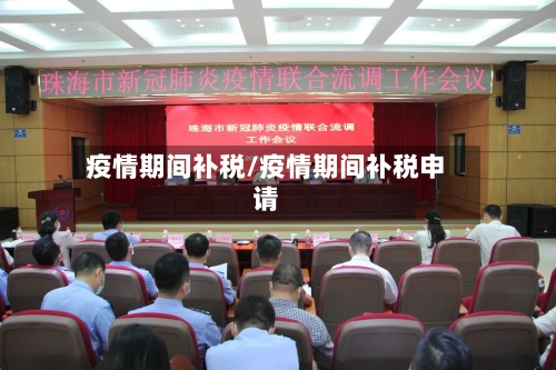 疫情期间补税/疫情期间补税申请