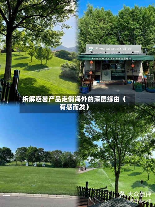 拆解避暑产品走俏海外的深层缘由（有感而发）