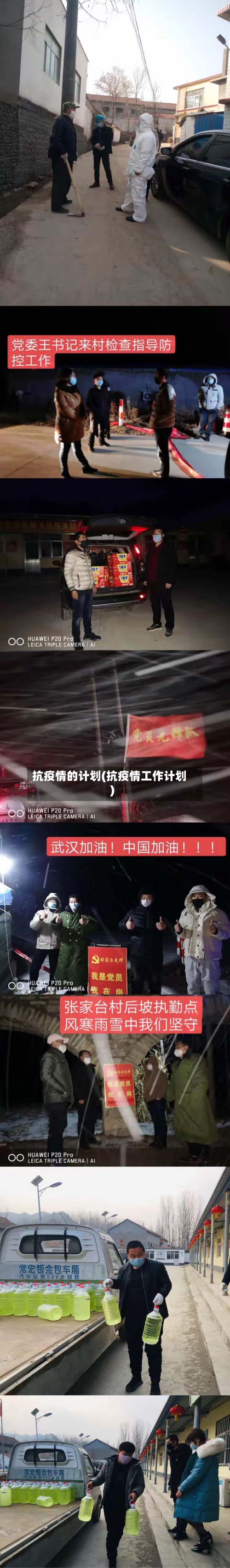 抗疫情的计划(抗疫情工作计划)-第2张图片