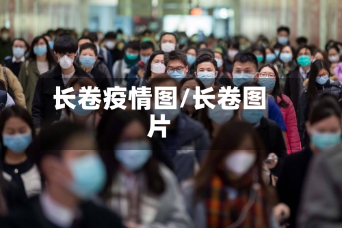 长卷疫情图/长卷图片