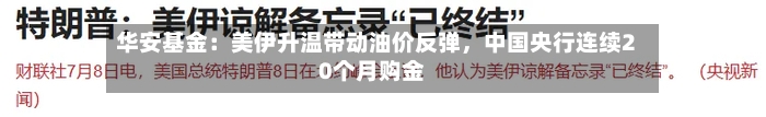 华安基金：美伊升温带动油价反弹，中国央行连续20个月购金-第3张图片