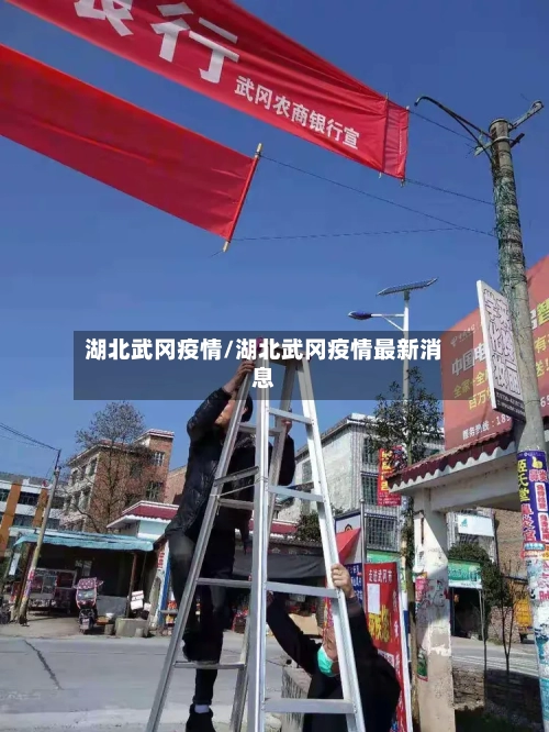湖北武冈疫情/湖北武冈疫情最新消息-第2张图片