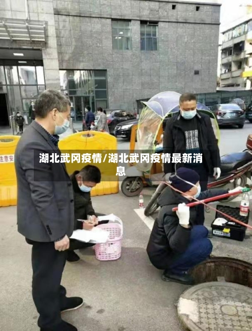 湖北武冈疫情/湖北武冈疫情最新消息