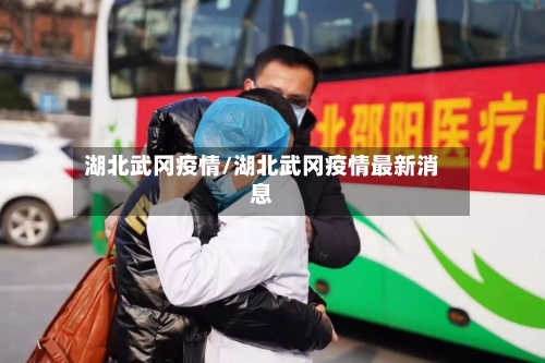 湖北武冈疫情/湖北武冈疫情最新消息-第3张图片