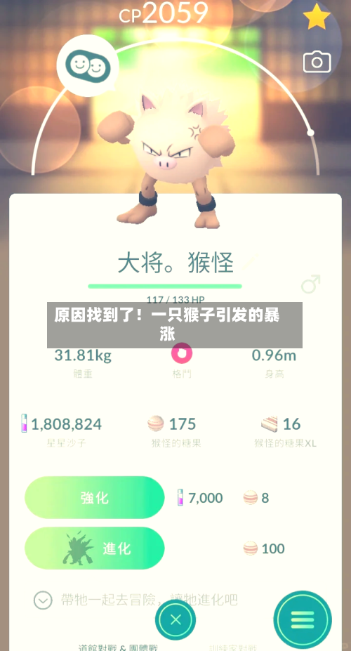 原因找到了！一只猴子引发的暴涨