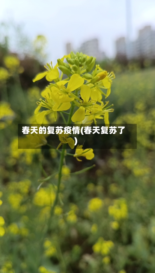 春天的复苏疫情(春天复苏了)