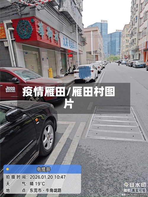 疫情雁田/雁田村图片