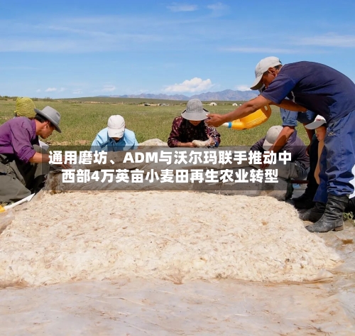 通用磨坊、ADM与沃尔玛联手推动中西部4万英亩小麦田再生农业转型