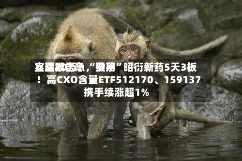 实验猴告急，费用直逼20万！“猴茅”昭衍新药5天3板！高CXO含量ETF512170、159137携手续涨超1%-第3张图片