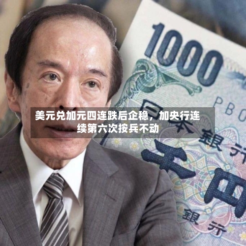 美元兑加元四连跌后企稳，加央行连续第六次按兵不动-第2张图片