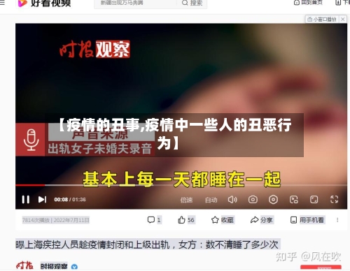 【疫情的丑事,疫情中一些人的丑恶行为】