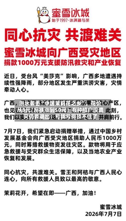 洪水袭击“中国茉莉花之乡”，花价从3元/斤暴涨到50元！有种植户没遭灾仍要退出：亏钱亏得顶不住了-第2张图片