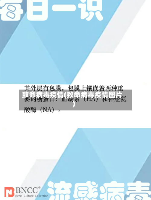 致命病毒疫情(致命病毒疫情图片)-第3张图片